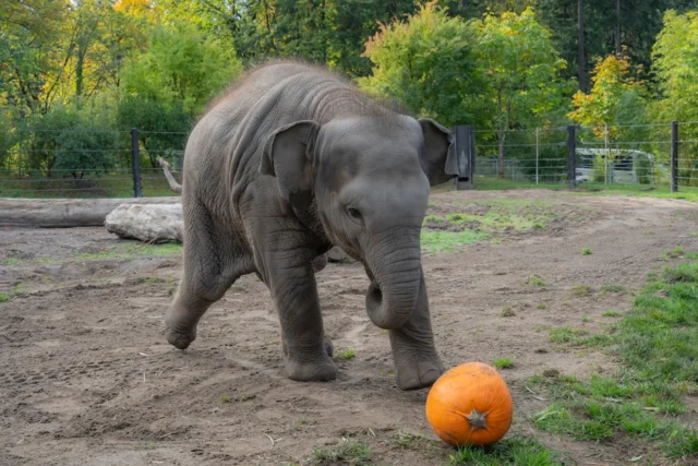 14a4cdb0a359d1c141db2e22709cb809